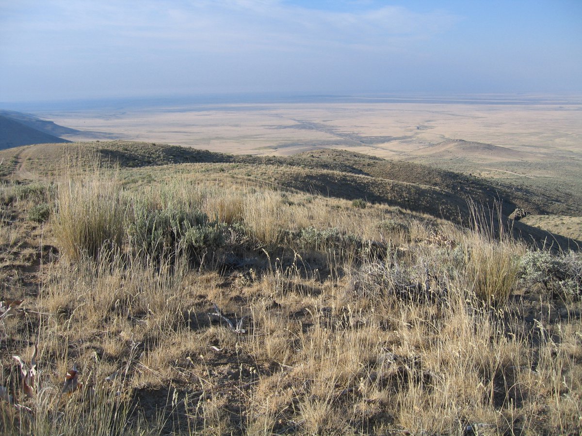 USGS_OR's tweet photo. Hear ye hear ye! Check out the latest science from the Soda Wildfire study area. 

How does weather and elevation impact the recovery of native grasses? What about competition with #cheatgrass? A new paper answers some of these juicy questions.

Read more: https://t.co/0XEWFOW73N https://t.co/znc5oY5oxF