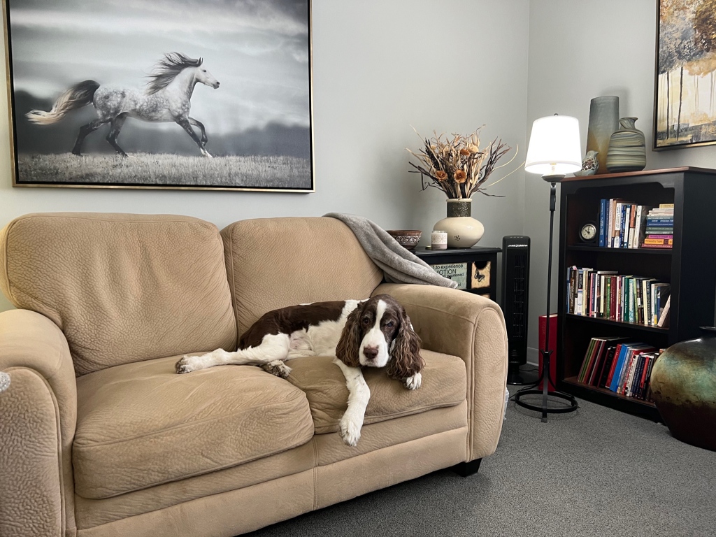 JanMcWill's tweet photo. Today I’m celebrating Duffy’s retirement from his work as my therapy assistant. 

He has gotten too old and confused to relax in the office, so he’ll spend the remainder of his days at home. https://t.co/n4w21lbZS0