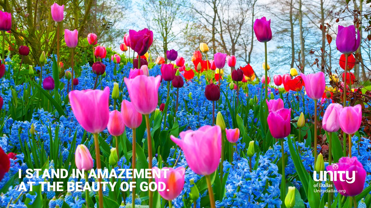 UnityDallas's tweet image. Amazement
¬“I FIND PEACE AND CONTENTMENT IN FORGIVING.” – Dailyword.com
#DailyWord #Unity #UnityDallas #Amazement