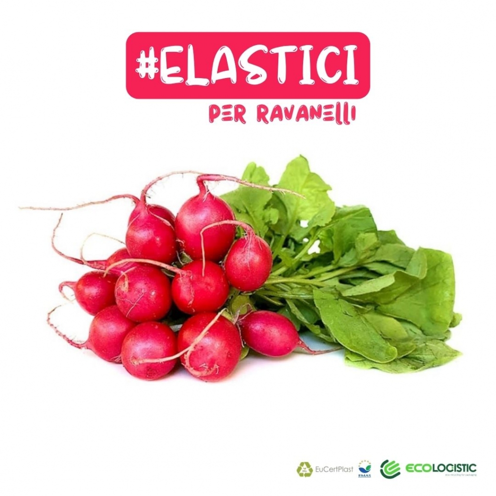 EcologisticSpa's tweet photo. ✔️ Gli elastici per ravanelli sono un tipo di legatura utilizzata per tenere insieme i ravanelli durante il trasporto e la vendita al dettaglio. Ecco come vengono utilizzati:
✔️ Vengono puliti, selezionati e legati prendendo un elastico e… https://t.co/Rp4Nhiy6Mb https://t.co/oJ1Yy2ZPEQ