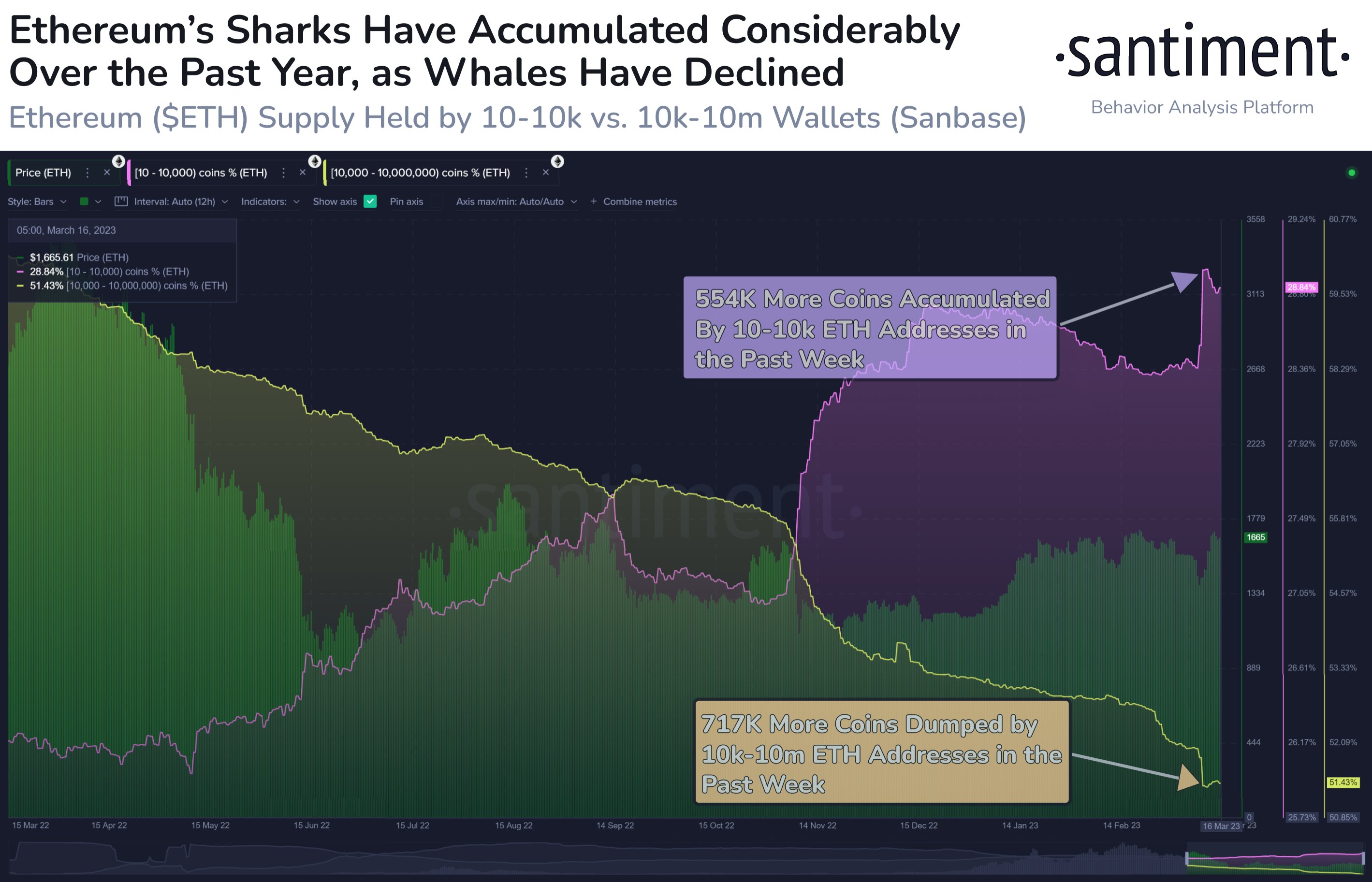 Ethereum Sharks And Whales