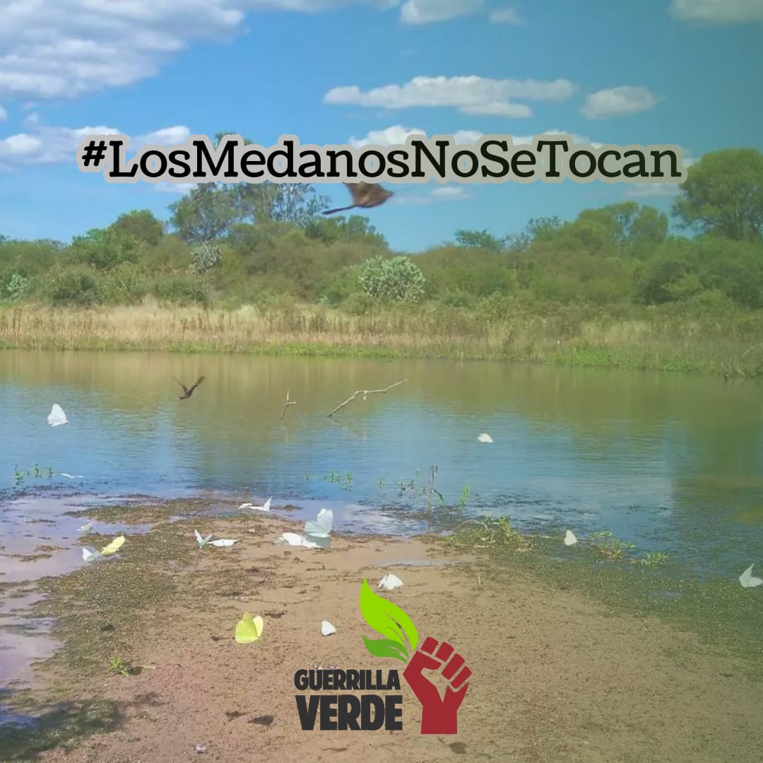 guerrillavpy's tweet photo. Hoy se trata en @SenadoresPy la aprobación de modificar el Art 4 para la explotacion del parque médanos del chaco. 
#losmedanosdelchaconosetocan https://t.co/qZDn77YgVM