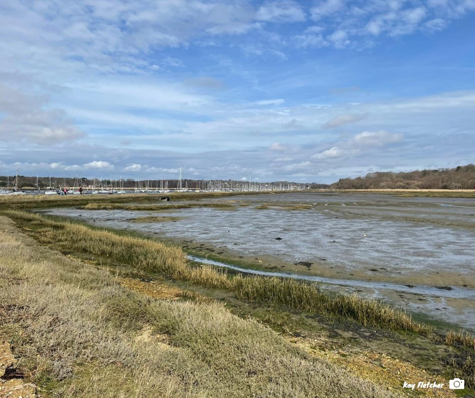 TBHPartnership's tweet photo. Today we swapped the #ThamesBasinHeaths for the coast, learning about disturbance to coastal birds with the amazing @BirdAwareSolent team. Curlew, Oystercatcher and Redshank were spotted, to name a few!
#coastalbirds #wadingbirds #birddisturbance #solent #specialprotectionarea https://t.co/ZLQNcwyMGa