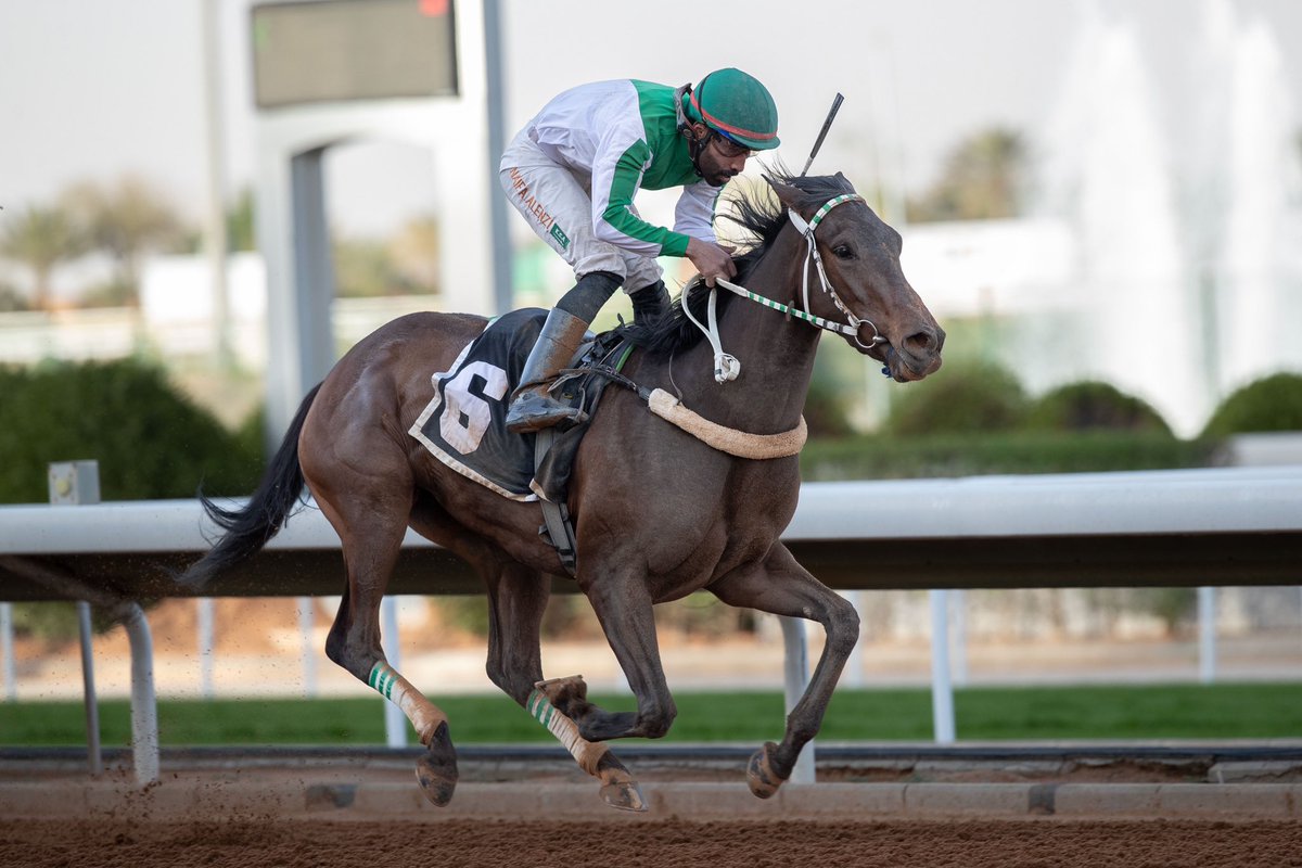 عواشه تنتصر بنت سالوت ذا سارج والام بنت شمبالي لم تشارك واخوانها الهابوش وهمدان، من انتاج محمد العرجاني والام متواجده عنده، الف مبروك للجميع ومتبوعه