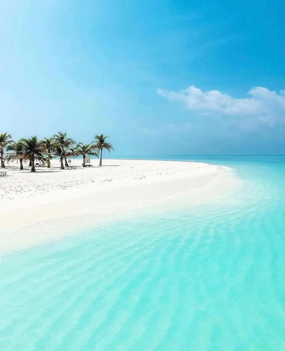 Interiorhunt11's tweet image. Need to escape here