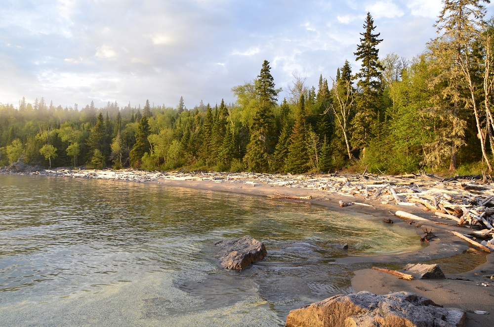 Teachers! Did you know Ontario Parks protects approximately 2,380 kms of Great Lakes coastline? 👋 

Get your grade 7 students excited about shorelines in our virtual Great Lakes school program: bit.ly/3Bhm8NF 

#edchat