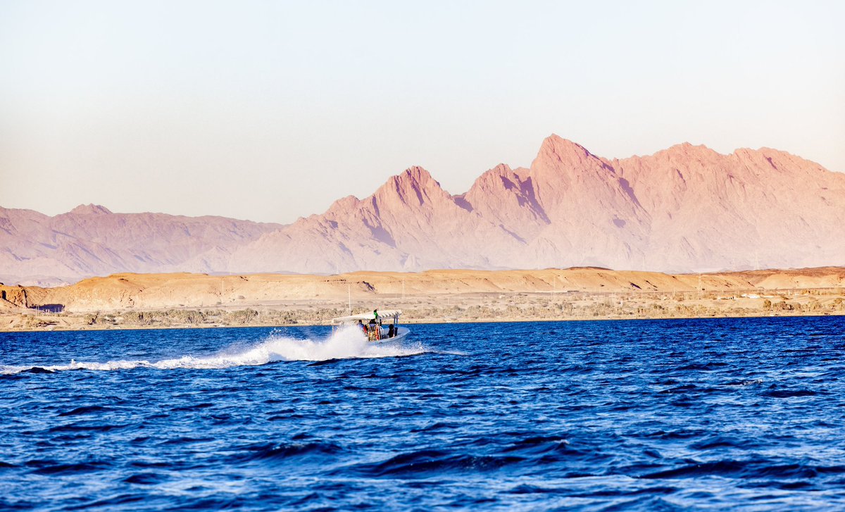 morganbs7's tweet image. A few more from last week! #coralreefs #redsea