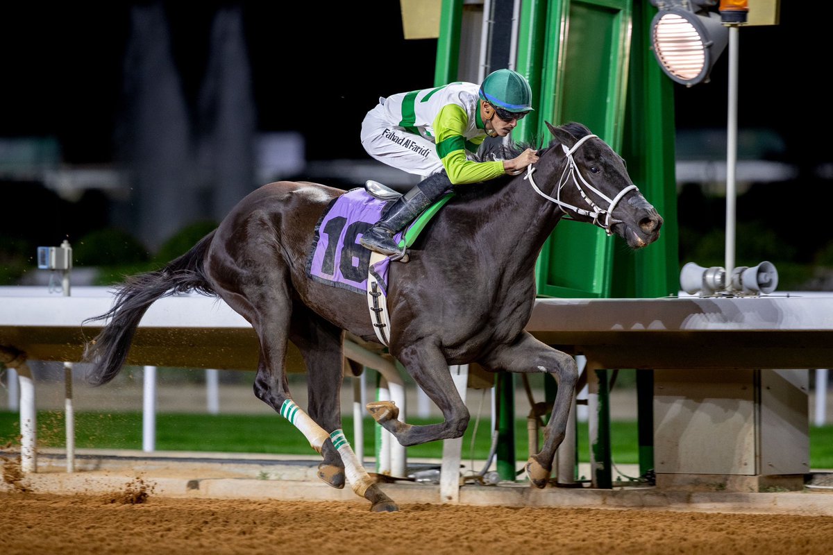 الذهب ينتصر ابن بيوجينك والام بنت فلاشي بول لم تشارك وانتجت ٥ فائزين اختها G1 وانتجت يوشيدا G1 وفحل، مشترى ب ٢٠ الف دولار من اوكالا يونيو بريز ٢٠٢٢م بواسطه احمد العبداللطيف، الف مبروك للجميع ومتبوعه