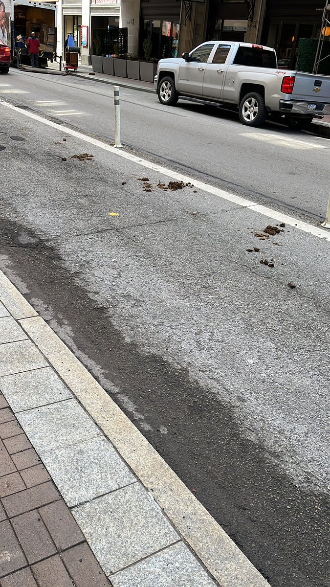 JesseRayy's tweet photo. @Pgh311 Penn btw 6/7 - police horse droppings…. https://t.co/KTKO8oYSiz