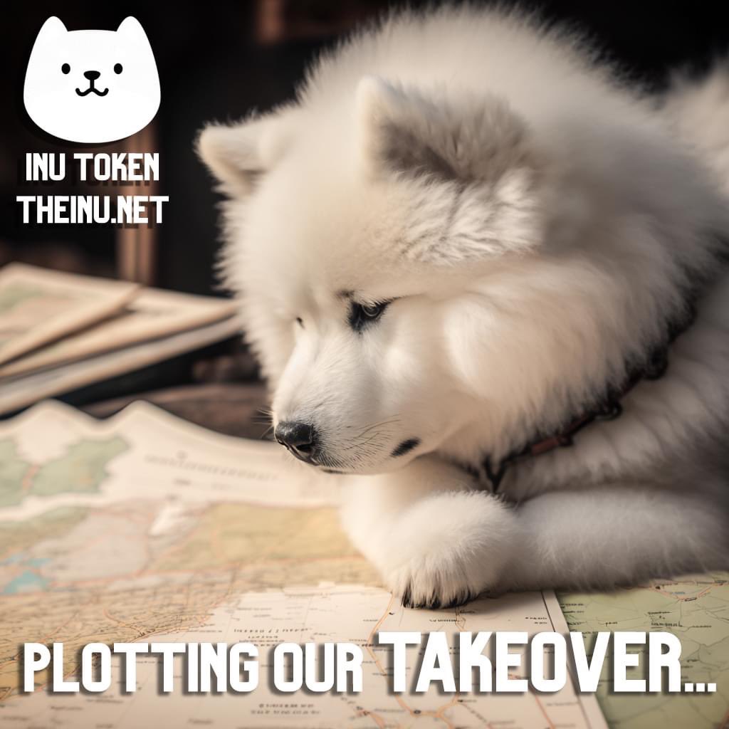 INU. tweet media