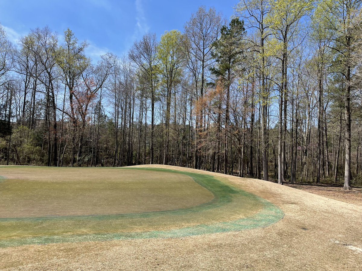 Brier Creek CC Agronomy tweet media