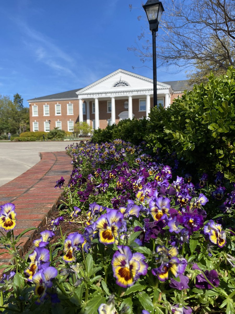 CCUChanticleers's tweet photo. The first signs of spring 😍🌸 https://t.co/4lQAhkevsS