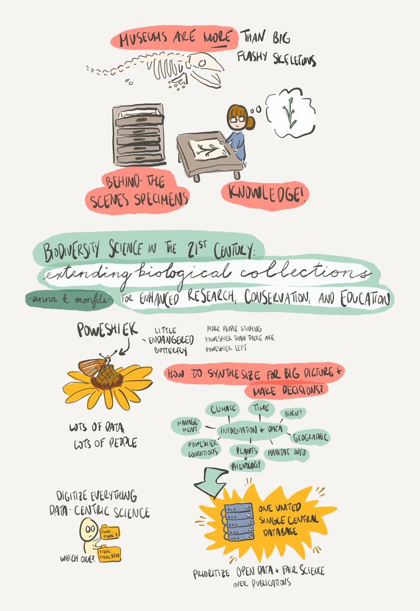 jacelyn (@jacejostles) on Twitter photo a #sciencedoodle about biodiversity research from a talk by <a href="/AKMonfils/">Dr. Anna Monfils</a> yesterday! a #sciencedoodle about biodiversity research from a talk by <a href="/AKMonfils/">Dr. Anna Monfils</a> yesterday!