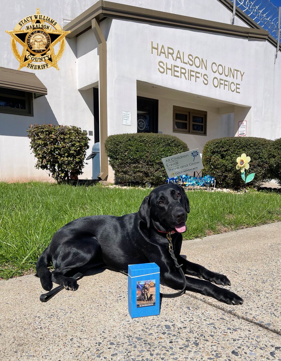 K-9 Tora approves of her new trading cards that were donated by the Jess Rousey Honoring Heroes Foundation! 

#K9Tora🐾💙
#PawsUp #TradingCards #K9Unit #Labrador #SheApproves #GoodGirl #LabradorK9 #ShinyCoat #Photogenic #ThatFace😍 #Tora 
#HCSO #DogsOnTwitter