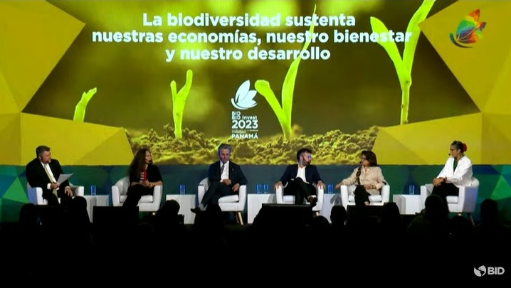 Ahora en la #AsambleaAnualBID un panel de expertos está discutiendo sobre #Biodiversidad y desarrollo sostenible e inclusivo en la #Amazonia. Conéctate aquí: youtube.com/live/DKpRj5byQ…