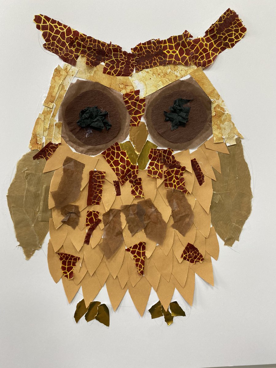 belindajohn71's tweet image. Looking forward to next weeks lesson with Year 1 @StPeterPaulPri experimenting with collage #babyowl #collage #collageart #paper #tearing #cutting