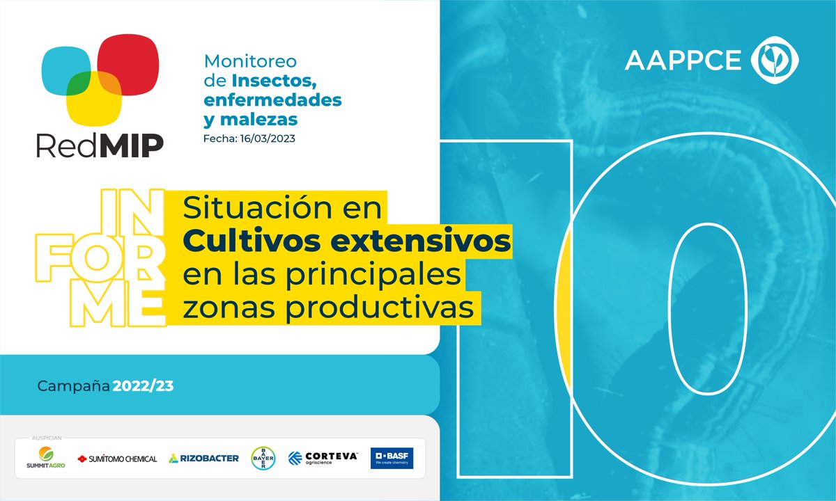 ¡Atentos al #InformeRedMIP N° 10! 🤚

🆕 Nuevo panorama detallado de la condición actual de los cultivos y la incidencia de insectos, malezas y enfermedades zona a zona provisto por los #NodosAAPPCE  🪲🐛🌻🌽🌱. 

Disponible acá: bit.ly/3TlWIaE
