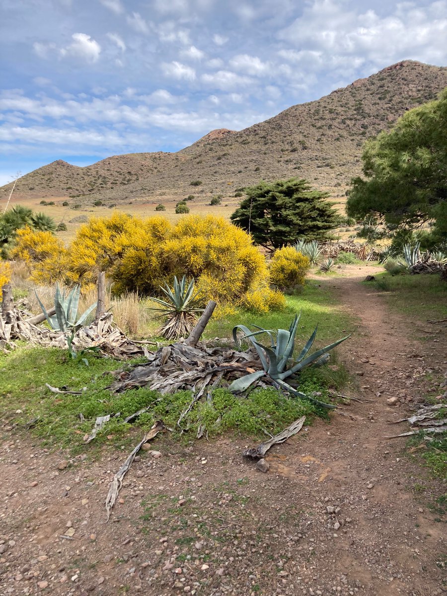 Camino a la playa de los Genoveses #Almeria #cabodegata