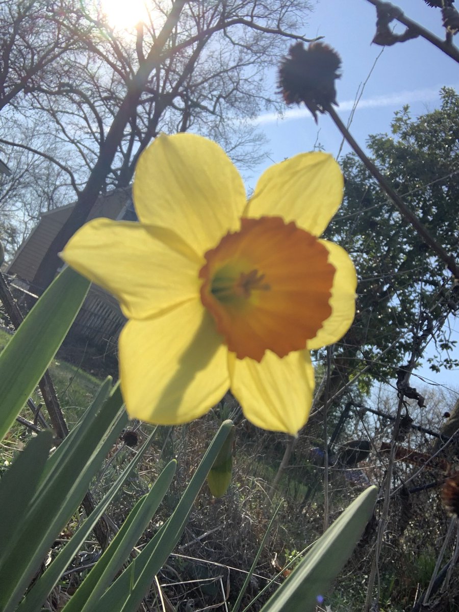 ESOL_Odyssey's tweet photo. We went on a Science Walk today with 8th grade! We got fresh air and talked about topics we learned a little earlier in the year- photosynthesis, pollination, and types of trees. @DDEMSEagles #ESOLonFire @PGCPSESOL https://t.co/cp2PbIAdkX