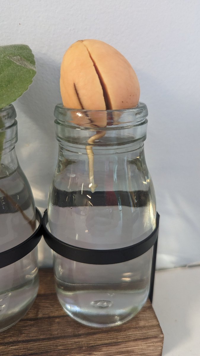 My little guy is growing so fast 🥹