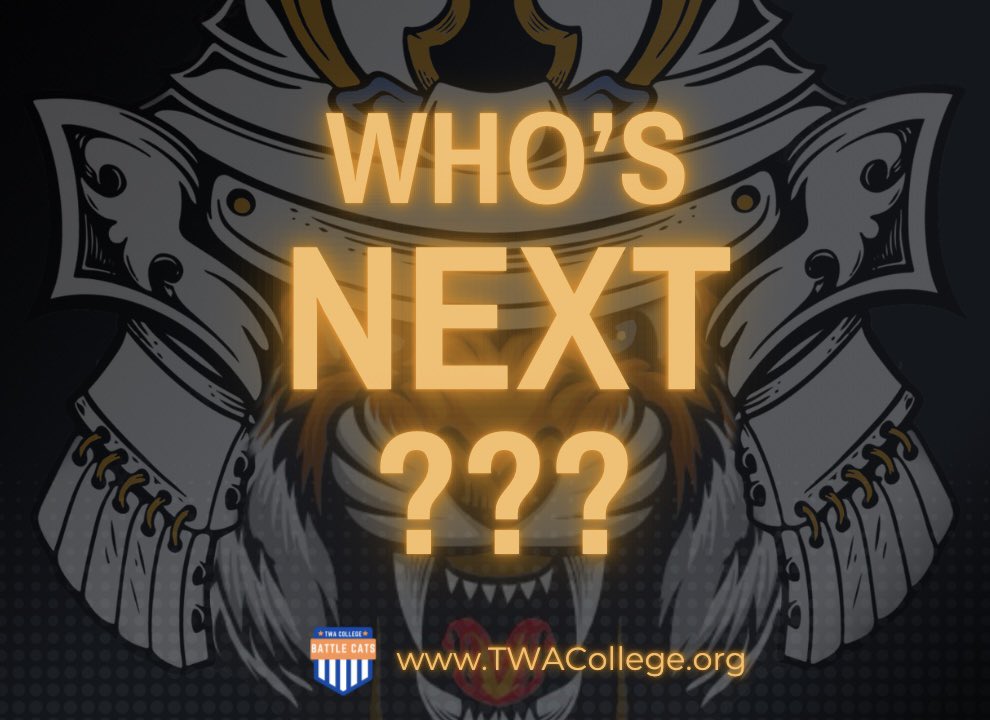 twabattlecats tweet media