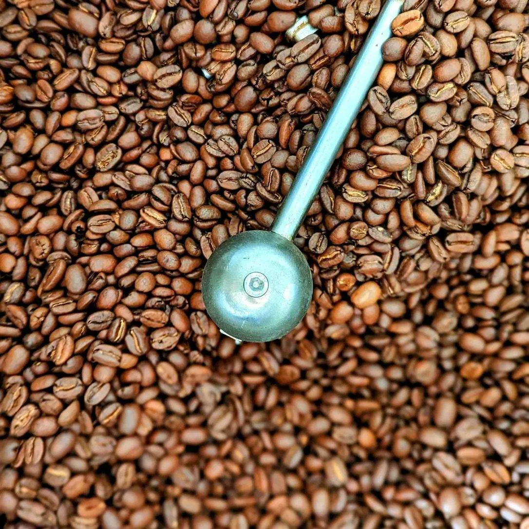 Attention coffee lovers! Our single-origin coffee beans are roasted to order, ensuring the freshest and most flavorful cup every time. ☕️🌱 #specialtycoffee #freshroasted #singleorigin #coffeeholic #coffeetime