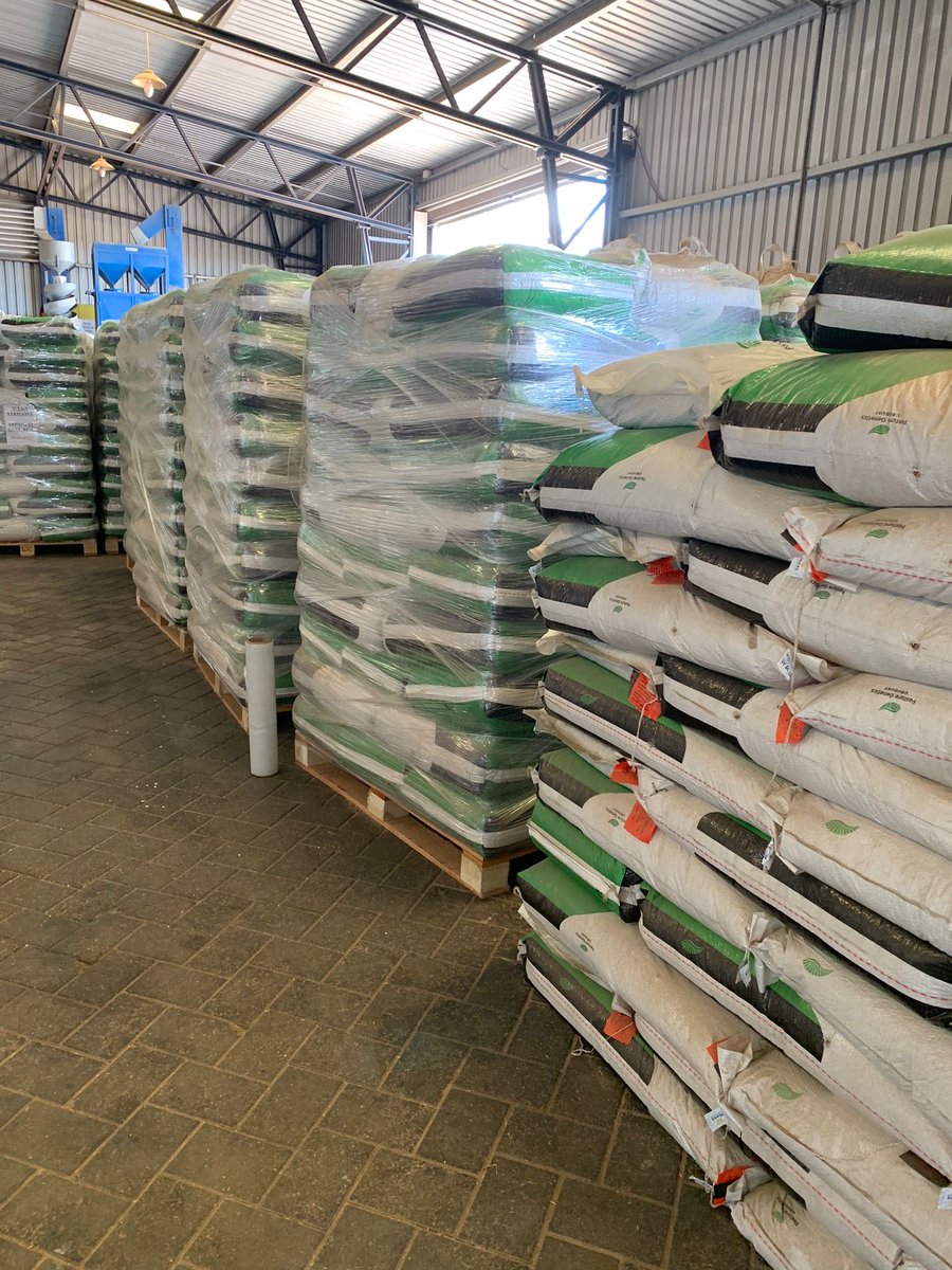PastureGenetics's tweet photo. #ForExport
Semillas de forrajeras de 🇺🇾al 🌎
Llevando el trabajo de nuestros productores, transportistas, plantas de procesamiento, agentes reguladores y exportadoras a los principales mercados.
Hoy trébol persa y alejandrino y avena strigosa para 🇳🇱 🇩🇪 y 🇫🇷
Vamos! https://t.co/um43Ma2Z5V