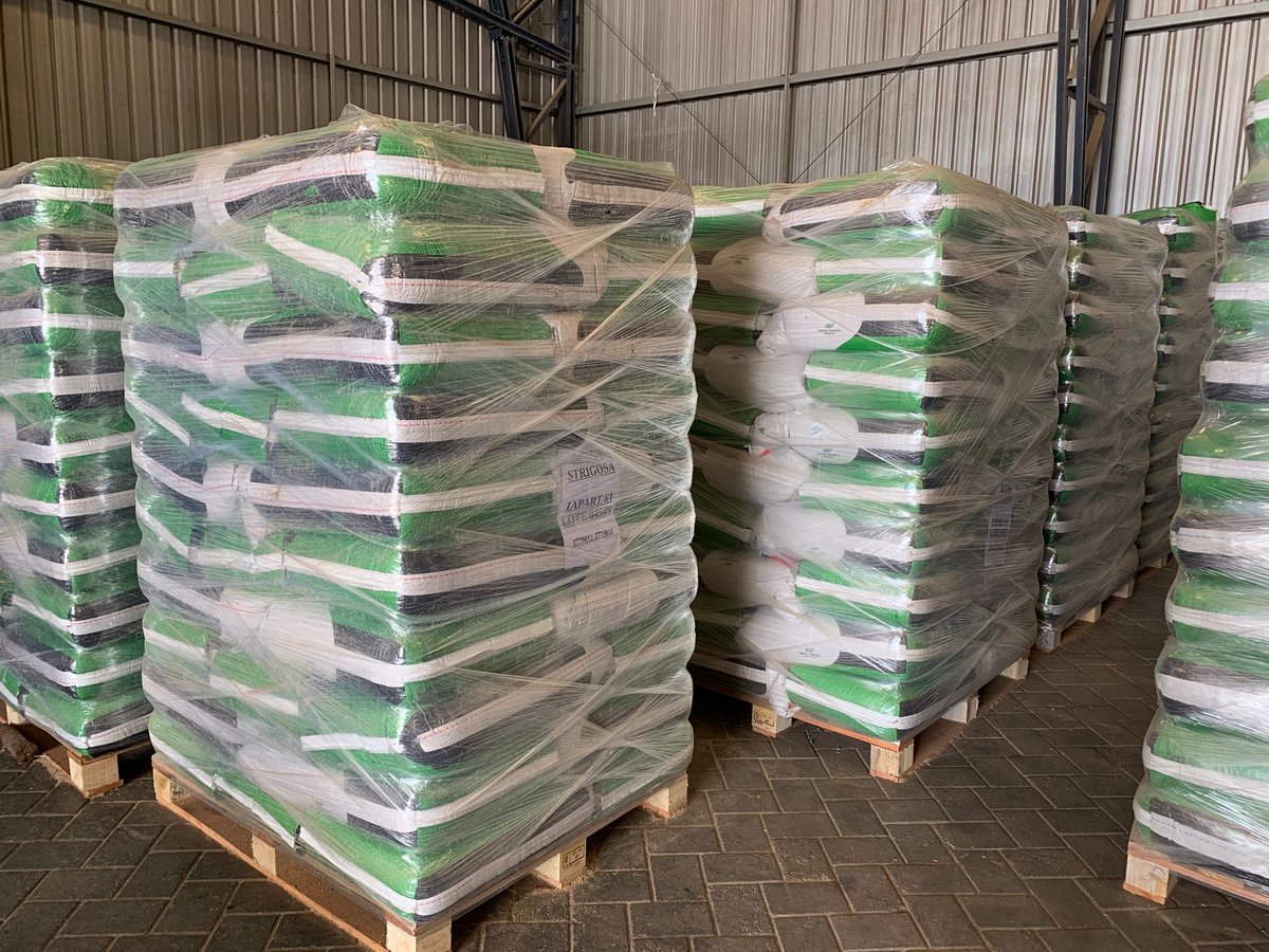 PastureGenetics's tweet photo. #ForExport
Semillas de forrajeras de 🇺🇾al 🌎
Llevando el trabajo de nuestros productores, transportistas, plantas de procesamiento, agentes reguladores y exportadoras a los principales mercados.
Hoy trébol persa y alejandrino y avena strigosa para 🇳🇱 🇩🇪 y 🇫🇷
Vamos! https://t.co/um43Ma2Z5V