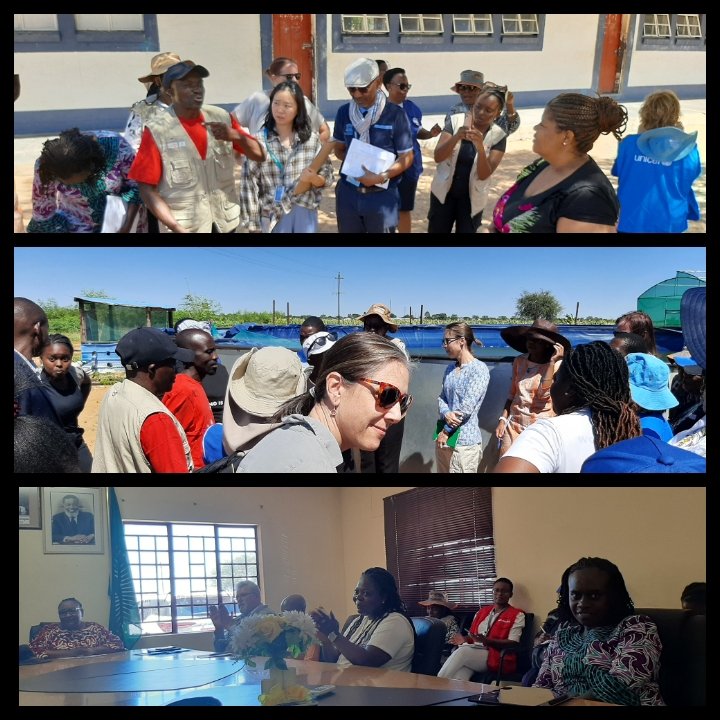 KKashaija's tweet photo. @iloharare participating in the field visit of #Osire refugee settlement as @UNNamibia contemplates an #integrated approach to #Refugee management. @hphororo 👏 https://t.co/O8V0GVw2DE