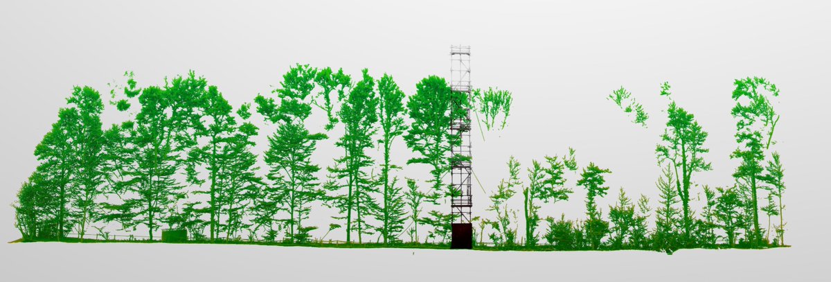 LouiseTerrynn's tweet photo. We scanned a 100m transect with TLS for our ForSe project at the research forest of UGent in Gontrode (BE).  First data, we're of to a good start. Check out our model on sketchfab: https://t.co/YRMWu6gn6A https://t.co/HHaJ2ol4OA