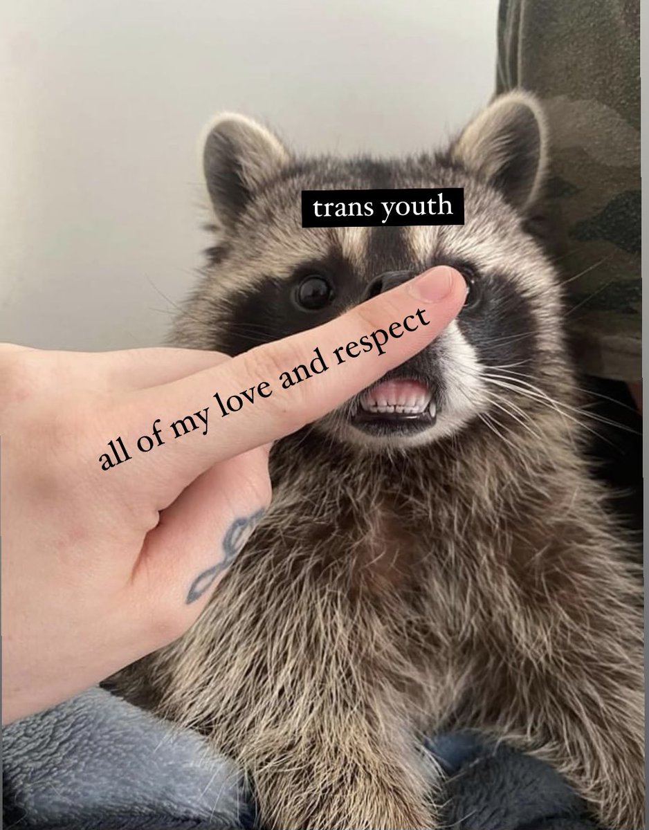 Feminist Flag Corps tweet media