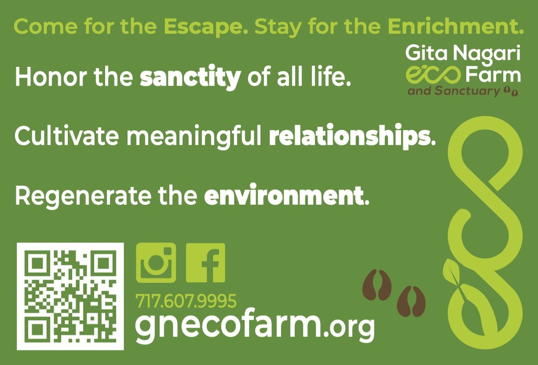 HoofprintMedia's tweet image. Custom yard Sign for gita.nagari.eco.farm 💚

#yardsign #yardsigns #customsign #graphicdesigner #hoofprintmedia