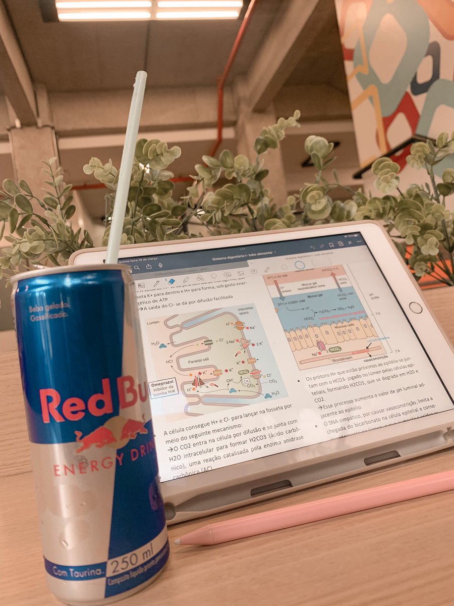 studylaur's tweet image. ninguém é de ferro: hoje tive que apelar pro redbull pra aguentar!¡
» intervalinho pré aula de fisiologia II e organizando o resumo do veterano no ipad
• como ta sendo a manhã de vocês?
| #studytwt #collegetwt