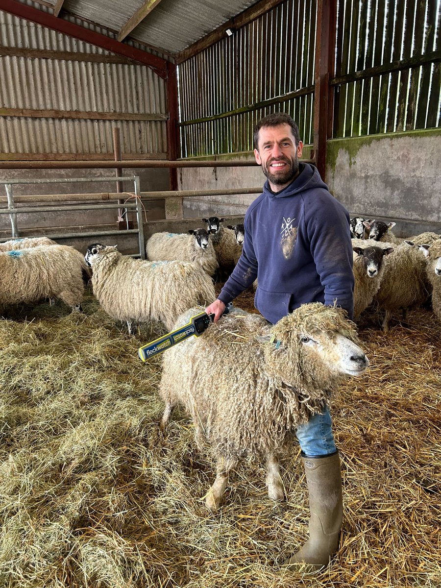 Herdwatch's tweet photo. Great to be out on farm with @kelvin_fletcher this morning! ๐ Kelvin is looking forward to managing his flock more efficiently & removing the stress of farm paperwork with Flockwatch! ๐จโ๐พ #flockwatch #fletchersonthefarm https://t.co/RA30FANd1N