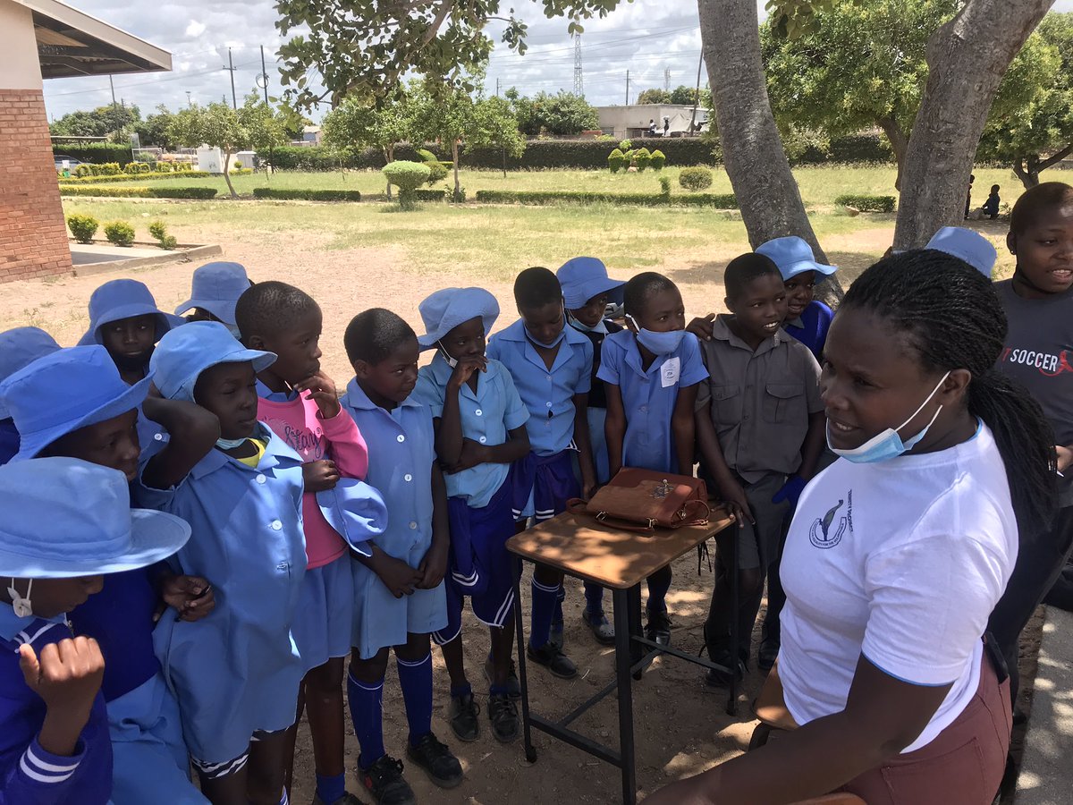 Trinity Project tweet media