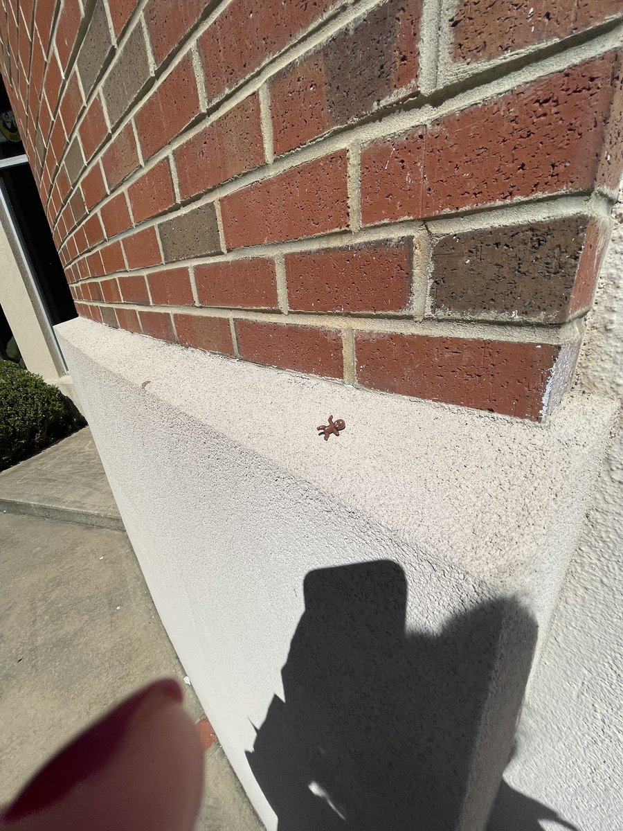 Jenn Riddle, NBCT tweet media