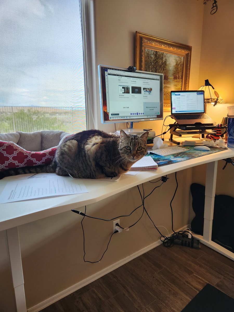 My office manager is always on top of things. Literally. 😸

#WorkFromHome #catmom #homeoffice