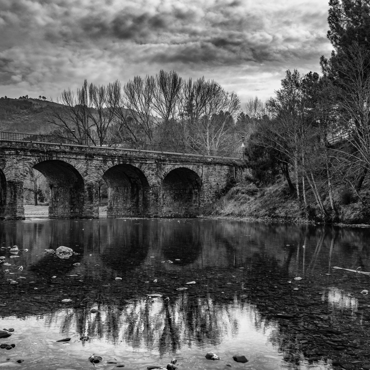 #pinofranqueado #caceres #extremadura #lashurdes