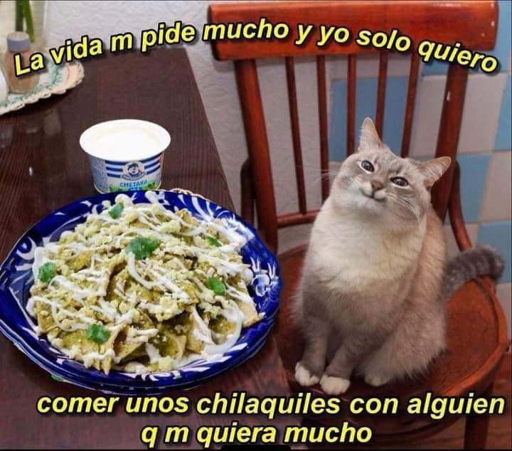 sopitas's tweet photo. ¡Buenos días, amigos! ¿Cómo amanecieron hoy? Este jueves queremos empezar el día con sus desayunos favs. ¿Qué desayuno podría comer siempre? 🙌❤️🍽️ 

#FelizJueves https://t.co/l8HYFaPmND
