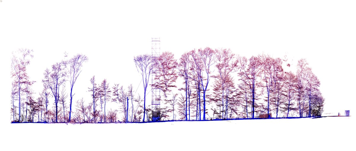 LouiseTerrynn's tweet photo. We scanned a 100m transect with TLS for our ForSe project at the research forest of UGent in Gontrode (BE).  First data, we're of to a good start. Check out our model on sketchfab: https://t.co/YRMWu6gn6A https://t.co/HHaJ2ol4OA