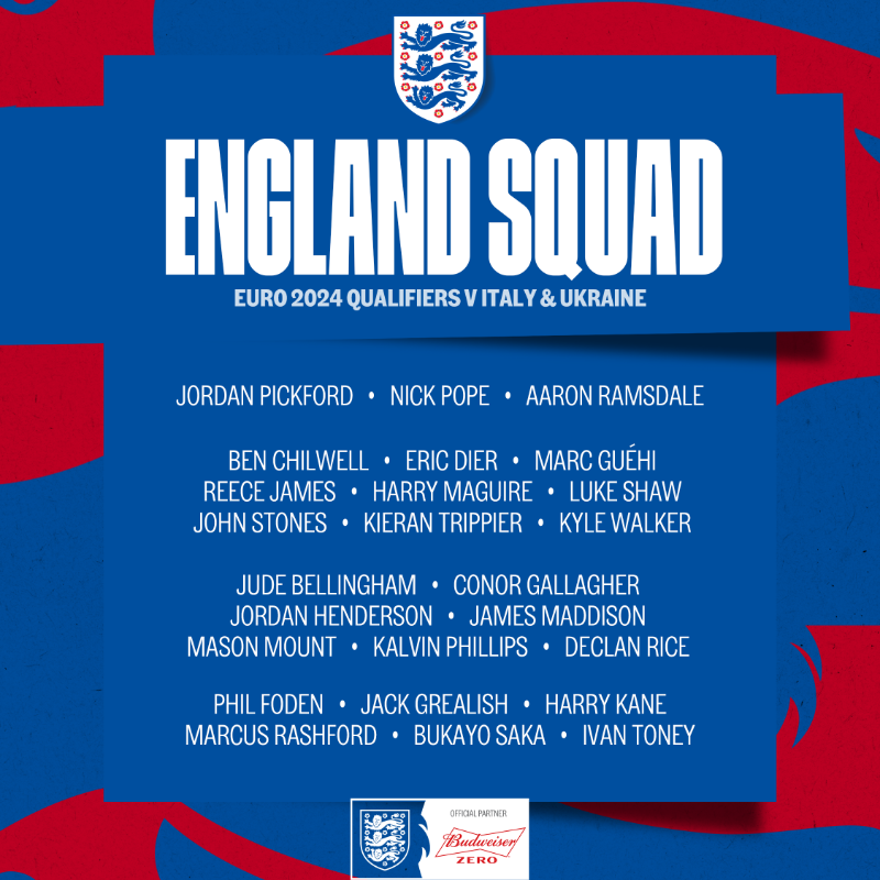 England's tweet photo. Here we go... your #ThreeLions for March camp! 🦁