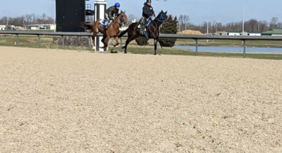 HR_Nation's tweet image. Turfway Park is the toughest track to bet in the U.S. and Canada. Here are 2️⃣0️⃣ tips for playing it.

bit.ly/42g0dn6

📸: Ron Flatter