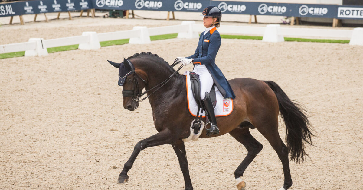 Carla Collewijn tweet media