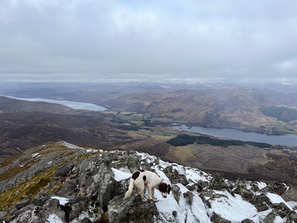 struttsscotland's tweet photo. A team building day out on #Schiehallion.  Placed between #LochTay, #LochRannoch and #LochTummel #Perthshire and with an elevation of 1,083 metres (3,553 ft) it was a challenge - the elements were a minor distraction.  #TeamWork #Perth #Breathe  https://t.co/jtFI8WAIl0 https://t.co/sbF41t0YTd
