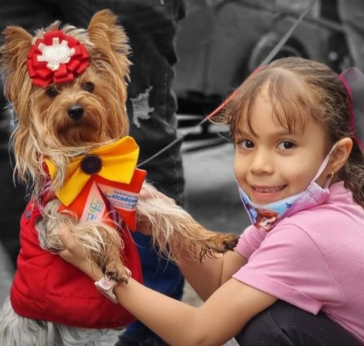El_Propio___'s tweet image. Sección de imágenes del desfile de mascotas realizado en las fiestas aniversarias de #CaicedoniaValle en sus 112 años.
📸 #ElPropioRecomienda