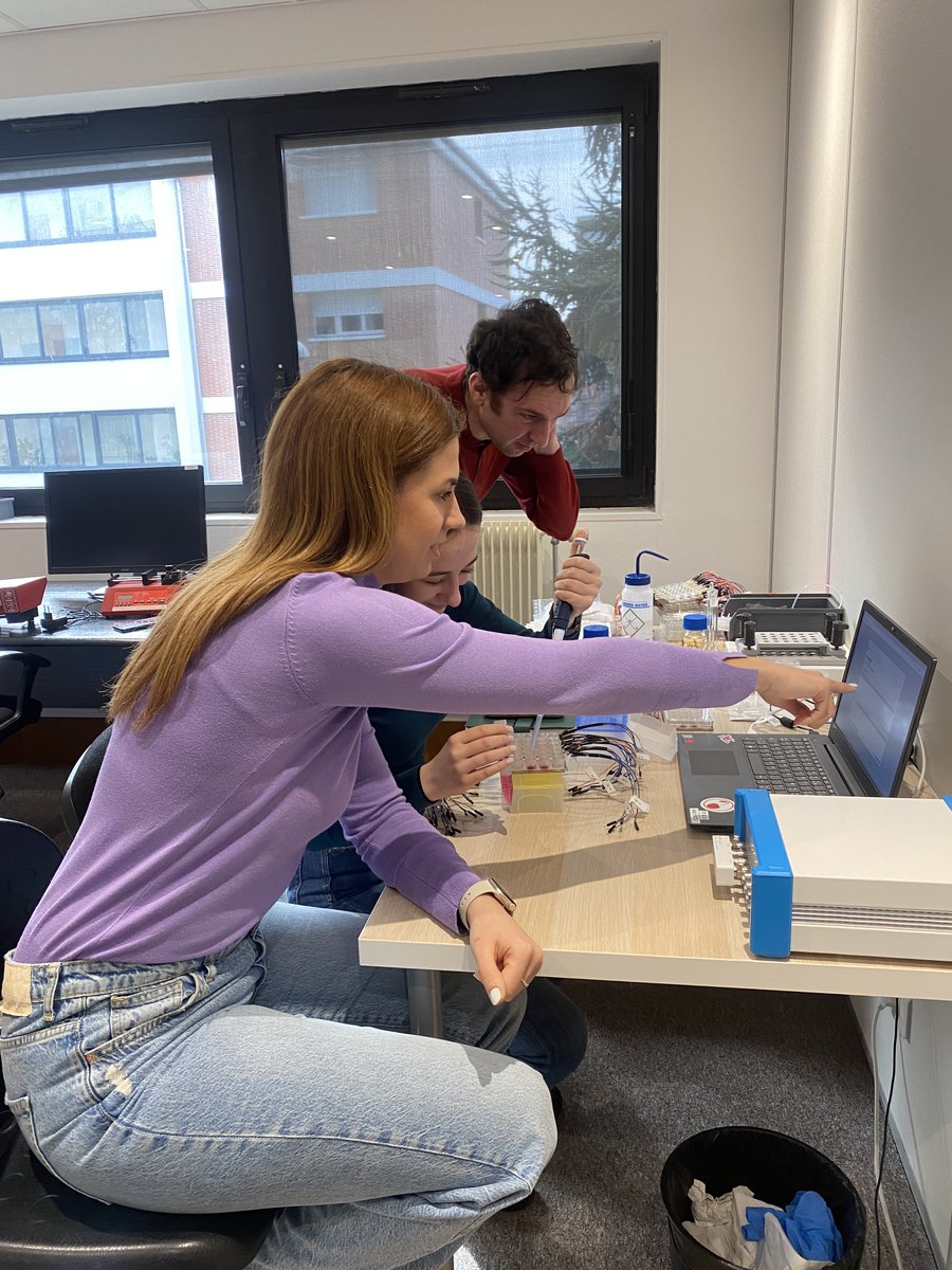 Cistem Project tweet media