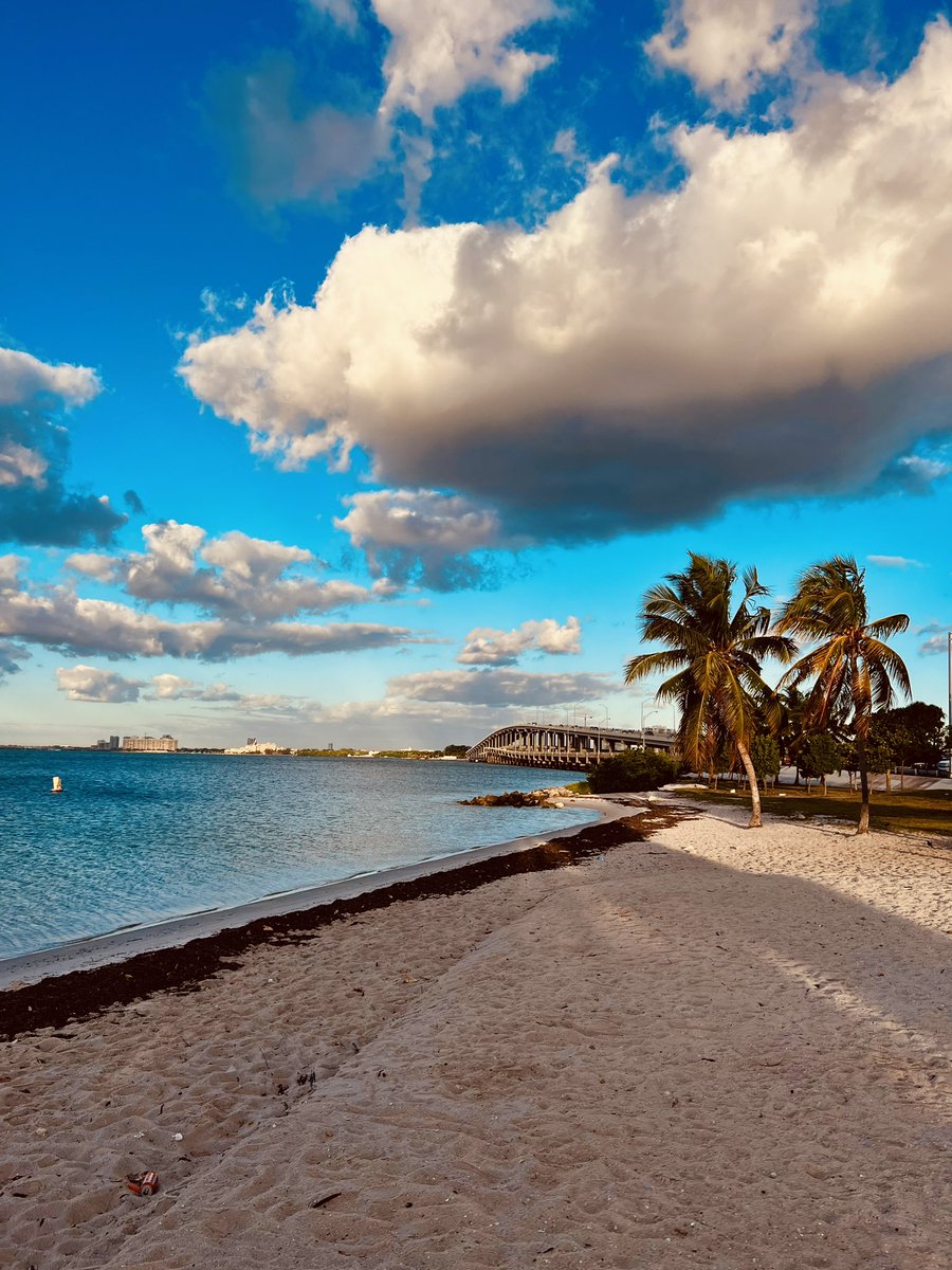Adrian Adrian (@theadrian305) on Twitter photo 