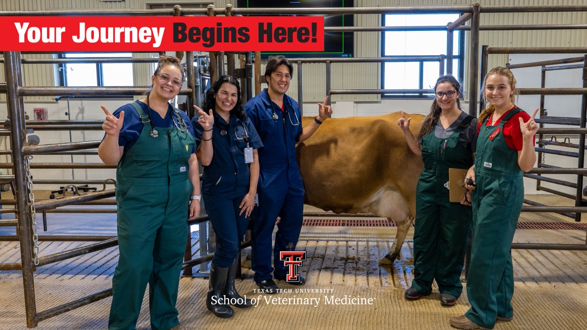 TTUVetMed's tweet photo. Join us in achieving our Purpose!

Together we can make a difference in serving the needs of rural and regional communities across Texas and New Mexico.

From Here, It’s Possible

Wreck ‘Em Tech!

#TTUVetMed https://t.co/SymFF0nA9u