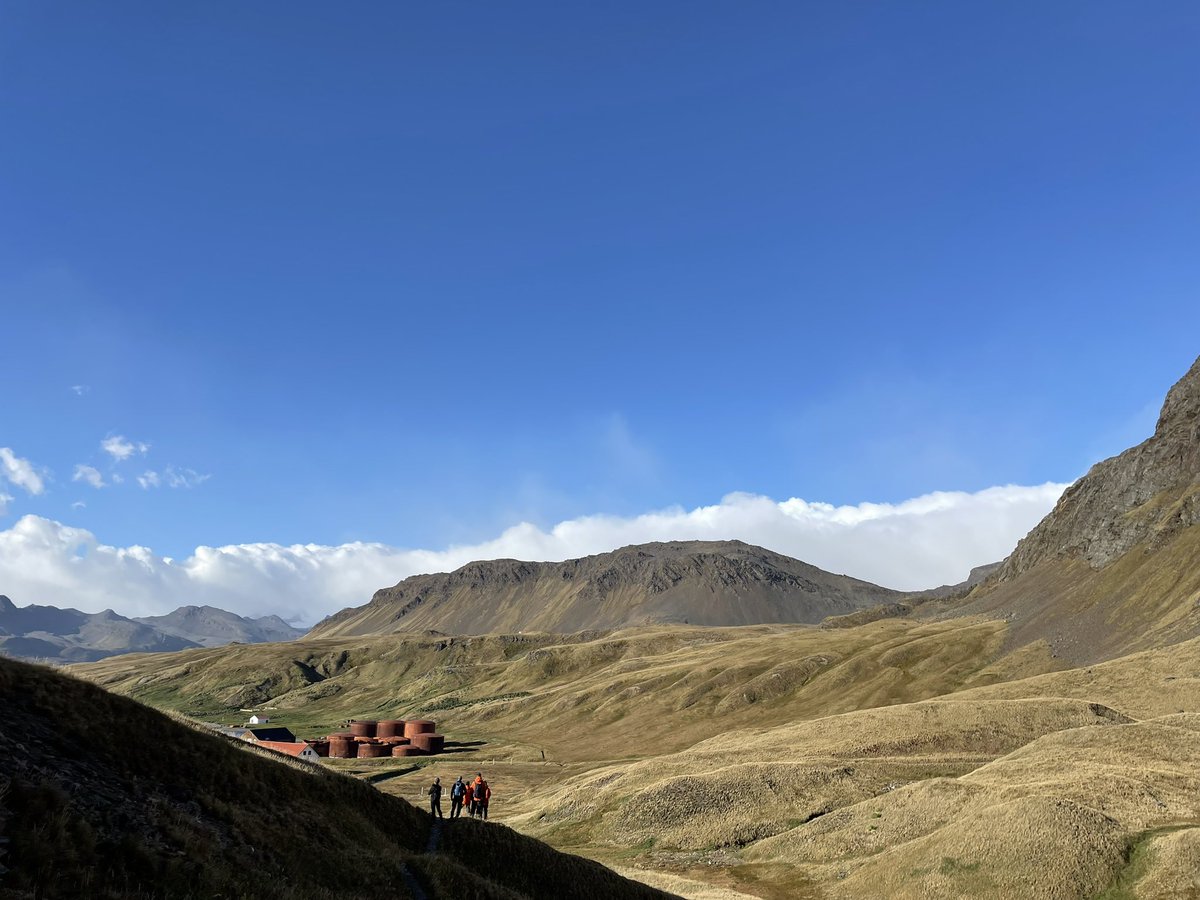 Andrew Ellis Evans tweet media