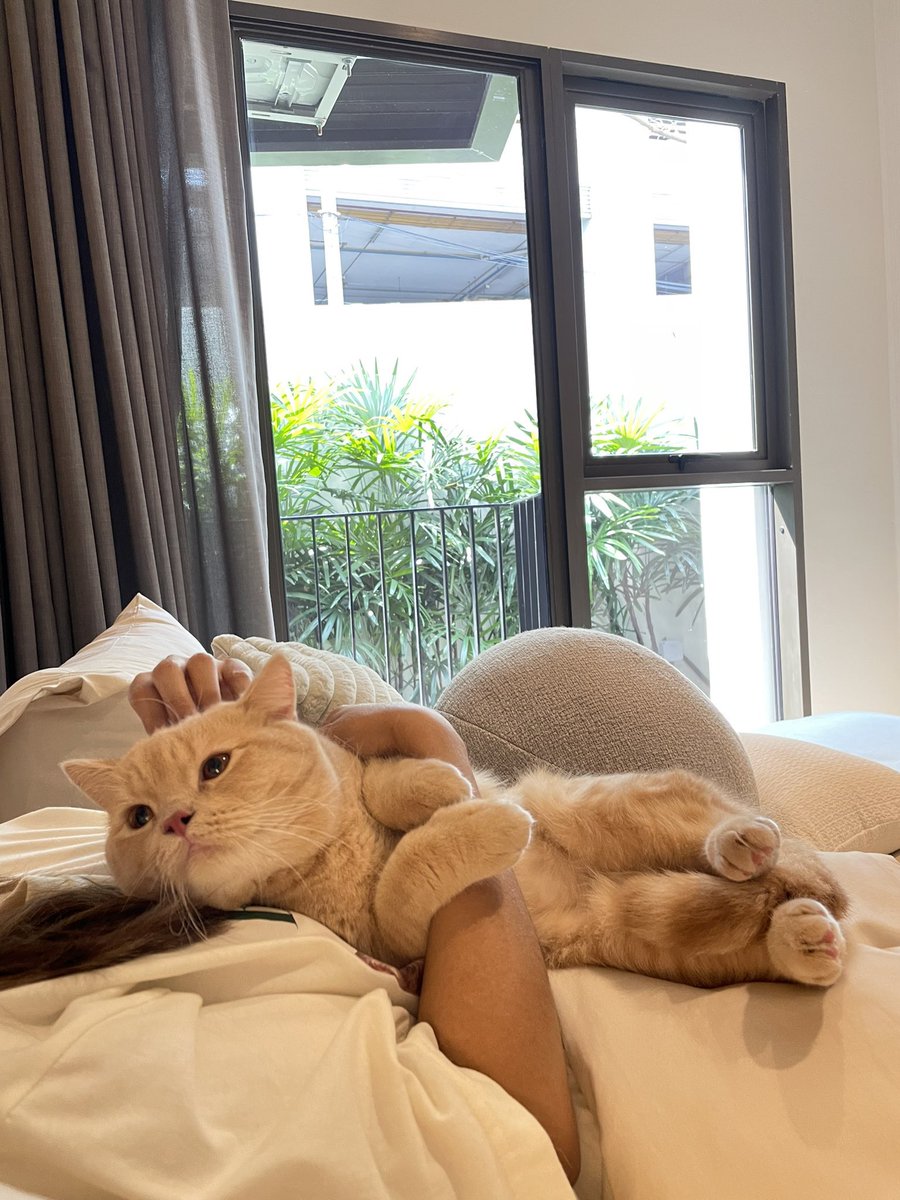 <a href="/yayee2548/">บีมกับน้องๆ</a> แม่ซื้อเตียง 2 ชั้นให้ป้องได้มั๊ยคับ ป้องสัญญาจะตั้งใจเรียน